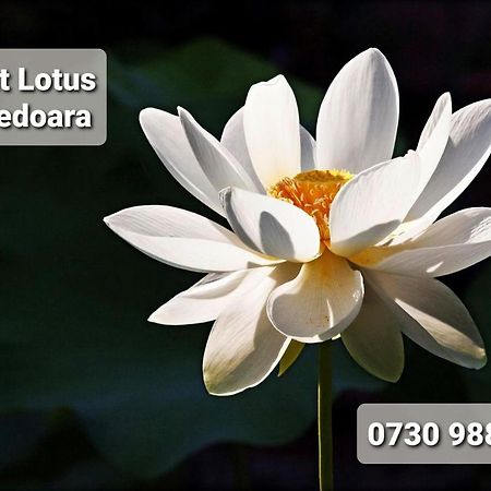 후네도아라 Night Lotus 아파트 외부 사진